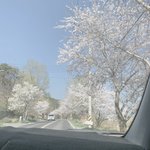 [19] 뼈<b>레즈</b>한테 궁금한거 있냐