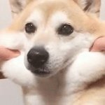 <b>올영</b>에서 현금으로 계산하는게 이상한거야?