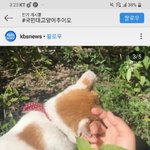 [댓글부탁해] <b>name</b>