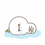 [방탄소년단] 탄이들 오늘 전부