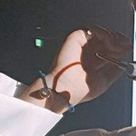 [세븐틴] 이거 나만 이제 안거니