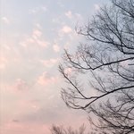 [댓글부탁해] 애들아 장기<b>연체</b>인데 열람실