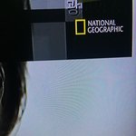 [드루와] <b>내셔널</b>이랑 디스커버리 방송사 로고 아니였음?