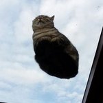 지금 기분을 4<b>글자</b>로 표현하면?