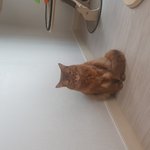 세상제일이쁜<b>루피</b>