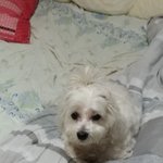 [이것좀봐줘] 나도 껴주라