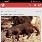 [댓글부탁해] <b>like</b>