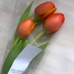 [ㅈㄱㄴ] 길가다 모르는 <b>사람</b>이 예쁘다고 할 <b>정도</b>면