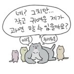 [댓글부탁해] 공대 학과별 특징 알려주께!!