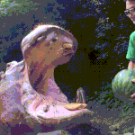 [드루와] 하마 치<b>악력</b>.gif