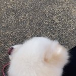 [19] 나 <b>약간</b> 촉 좋은데 물어볼꺼 이썽??