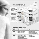 [모두드루와] 자외선이 피부에 미치는 <b>영향</b>
