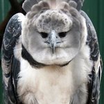 프듀 <b>이번</b> <b>활동</b>기간 몇년임?