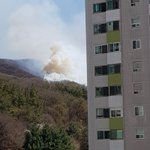 ?얘들쓰 <b>집</b> <b>앞</b>에 산 불 났는데 어케해