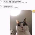 [드루와] <b>앙스타</b>?하는 애들 있냐