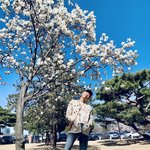 [방탄소년단] 봄날