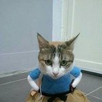 [댓글부탁해] 보온기능 있는 <b>도시락통</b>에 <b>도시락</b>싸면 여름에 안상해..?