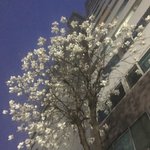 [드루와] 바람막이 지금 사는거 <b>오때</b>