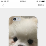 [드루와] 폰케로 만들 <b>울집</b> 댕댕이 사진 좀 골라주삼