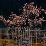 남친이 길 <b>가다</b> 친구 만나서 손 빼면 어떨 것 같냐