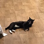 나 야영가면 우리 <b>고영</b>이 어떡함 ㅠ