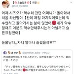 [세븐틴] 디노 일본에서 <b>배척</b>당해..??