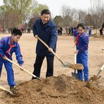 시진핑, 묘목 7그루 심으며 “국토 녹화 사업 철저히”