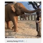 싸이코와 정상인 사이