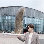 [EXO] <b>코튼</b>스타