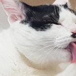 [댓글부탁해] 우리집 그 인간 미쳤나봐 진짜