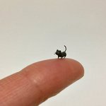 [드루와] <b>몸치</b>도 출수있는 춤 추천해줌