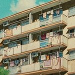 나 아따맘마 <b>동동</b>이랑 동갑이여