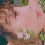 [댓글부탁해] 배경화면 쫌 주구<b>가랑</b>,,S2