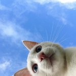 <b>니</b>네 제일 <b>자신</b>있는 과목 뭐임