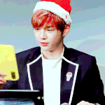 [강다니엘] 뽀짝뽀짝 ( ｯ.• ︿•) ｯ *:･ﾟ *:･ﾟ