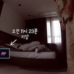 시우민 진짜 요정이다 요정
