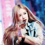 로제 허리 무엇