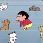 아니 <b>무리</b>에 찐따가 따라 붙는데 어떡해