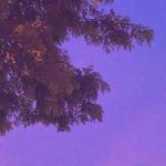 [ㅈㄱㄴ] 수련원 교관 새기들 <b>수작</b>부리는 거