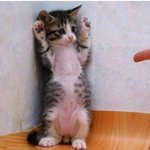 [댓글부탁해] 19)나 오늘 흑역사 만듦 어떡해 ㅋㅋㅋㅋㅋ