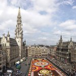 [여행팁스] 세계에서 가장 아름다운 '꽃길' <b>BEST</b>6