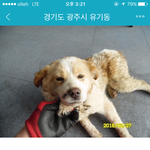 [강아지] 마<b>덕선</b> 이야기