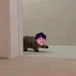 [방탄소년단] 컴백홍보글 <b>회의</b> 오늘밤에 함 ㅈㄱㄴ