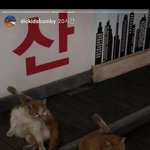 [댓글부탁해] <b>어둠</b>으로