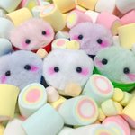 [드루와] 나 <b>마리</b>몽 달고 다니는 남자 봄