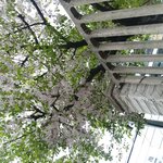 낙태죄 <b>폐지</b>여도