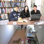 [댓글부탁해] 살아있는 봉제<b>인형</b>