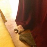 [댓글부탁해] 채씨 여자아기 이름 추천좀!!