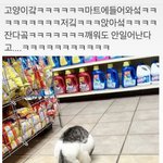 [댓글부탁해] 이샛기 <b>술주정</b> 부리는거 극혐이다 이거봐