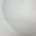 애들아 나 모낭한개에 머리카락3개남(약혐+개곱슬)